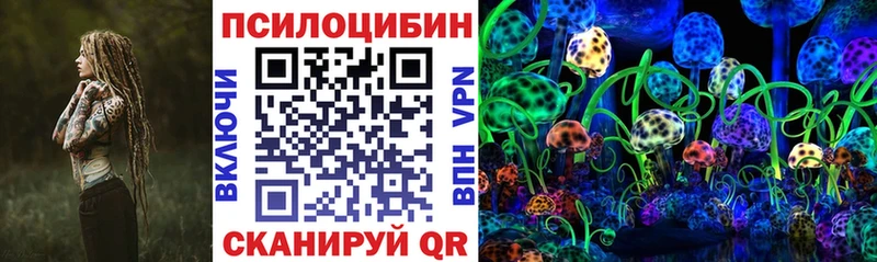 Псилоцибиновые грибы GOLDEN TEACHER Купить закладки Онега