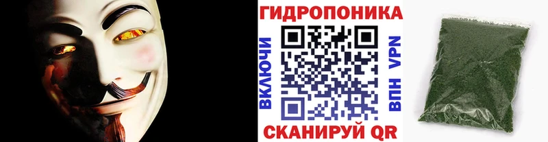 Купить  Онега  МАРИХУАНА сатива 